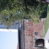 finnek 2011 046